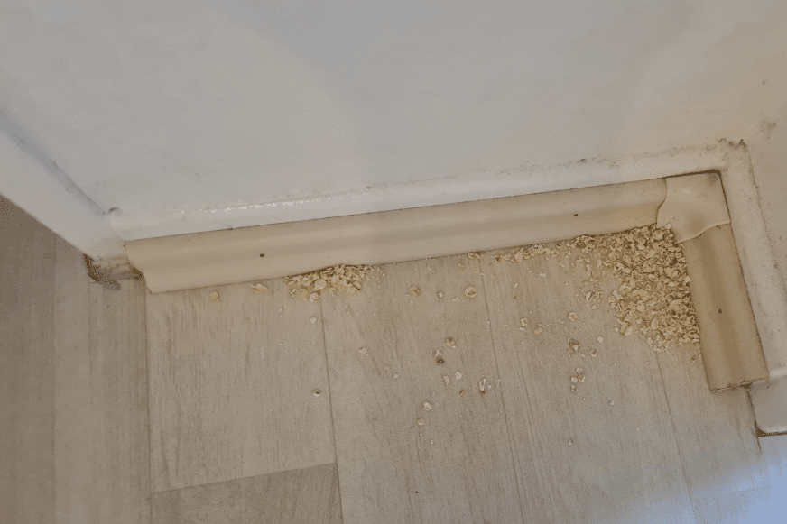 Der Samsung Jet Bot AI Plus reinigt in einer Ecke.